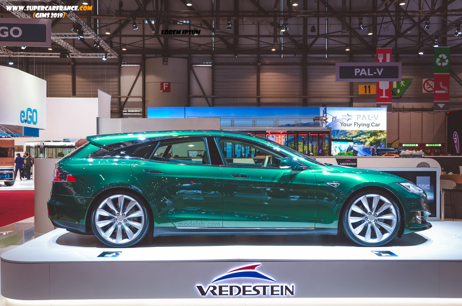 113 Tesla Model S